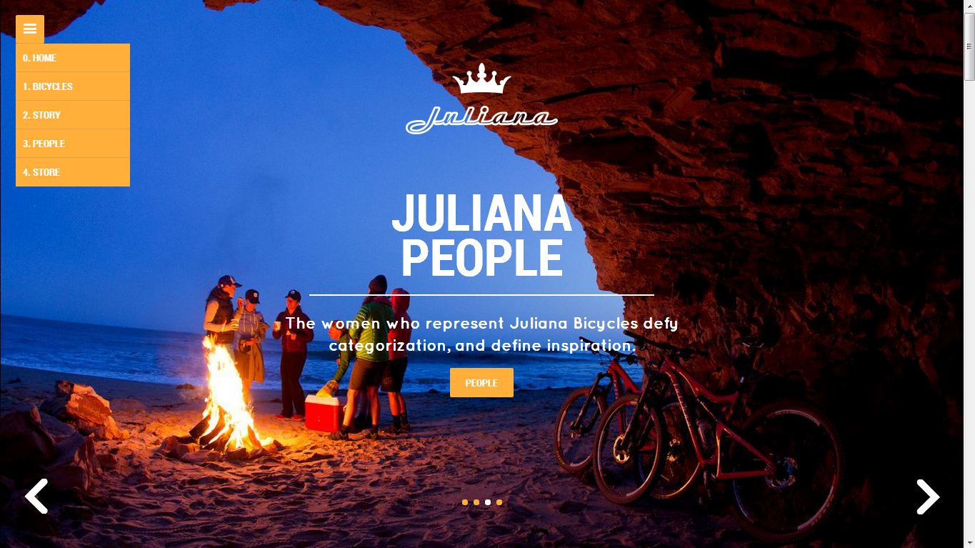 Professional website portfolio